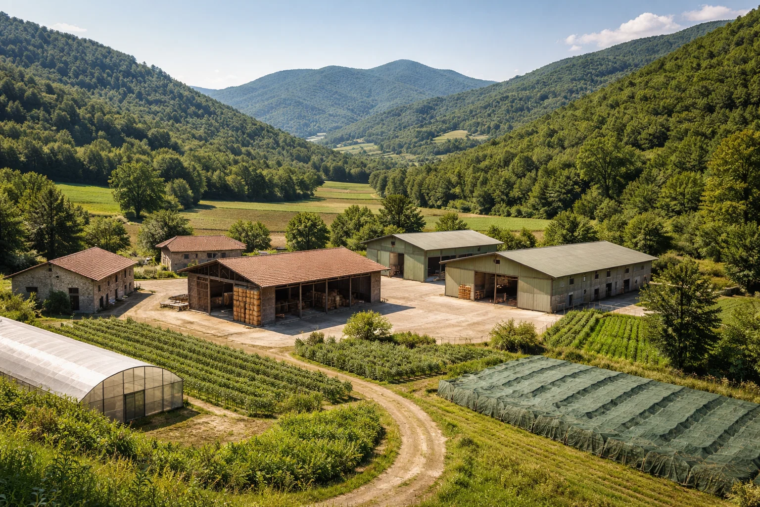Edificio agricolo nella zona di Cairo Montenotte con tetto idoneo per fotovoltaico PNRR