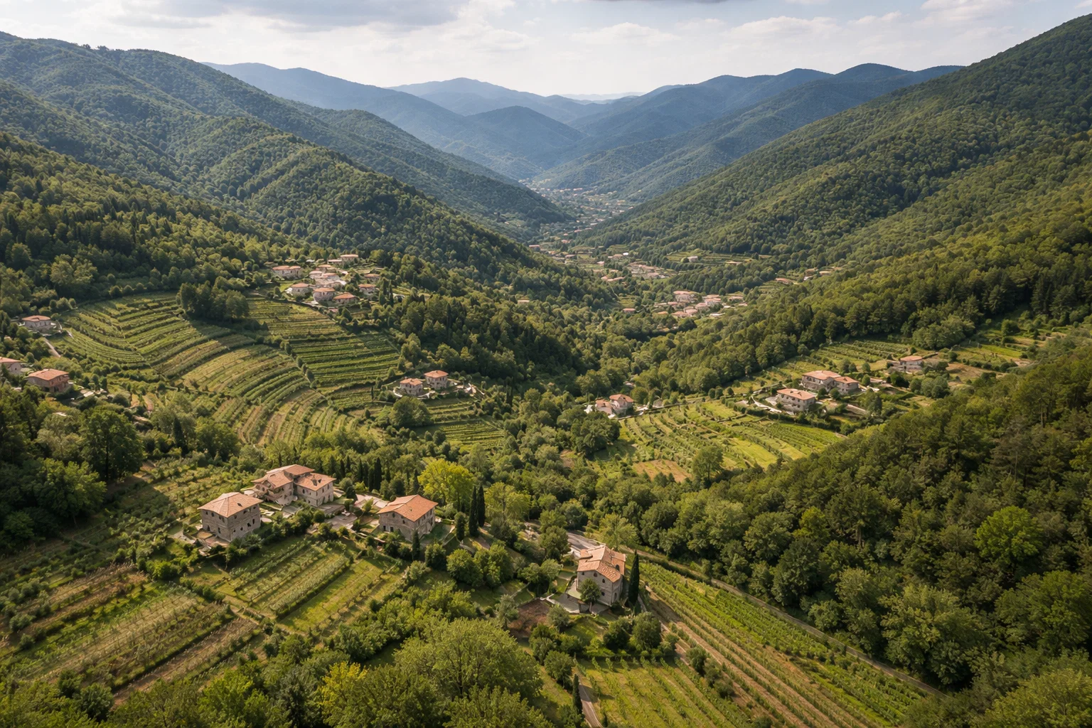 Territorio collinare agricolo nell’entroterra di Spotorno – contesto produttivo locale