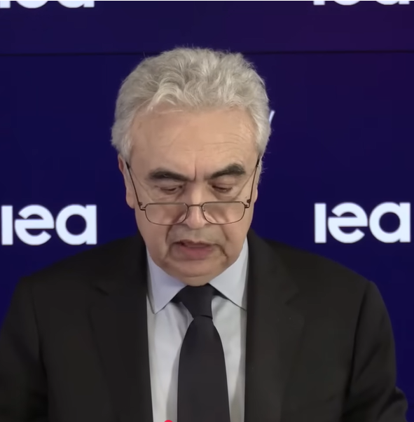 Fatih Birol, Direttore esecutivo IEA