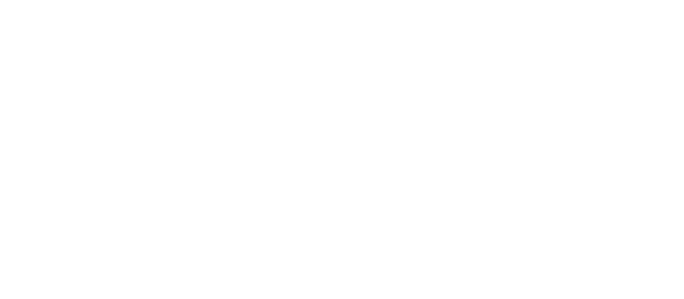 V2C Trydan logo ufficiale